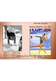 252 Istanbul Rhythmic Cup_2013